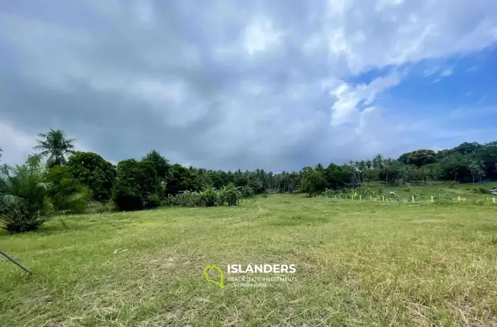 6.5 Rai with Mountain View Land in Mae Nam for Sale