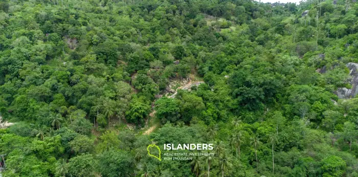 16,132 Sqm Land for Sale in Chaweng Noi