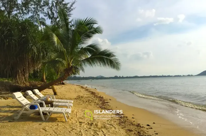Beachfront Land Plot in Lipa Noi with1 House and 7 Bungalows
