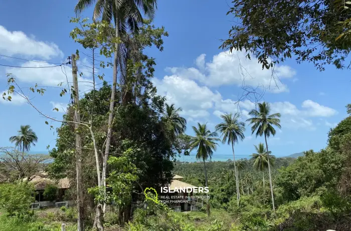 Sea View Land for Sale in Nathon
