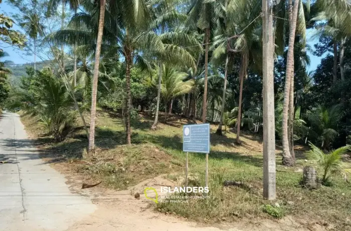 Land for Sale in Lamai, Koh Samui
