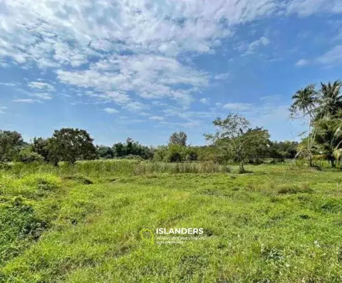 Great Deal of Land for Sale in Lipanoi