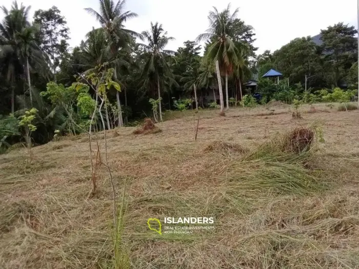 À vendre : Terrain à Maduawan, Panghan