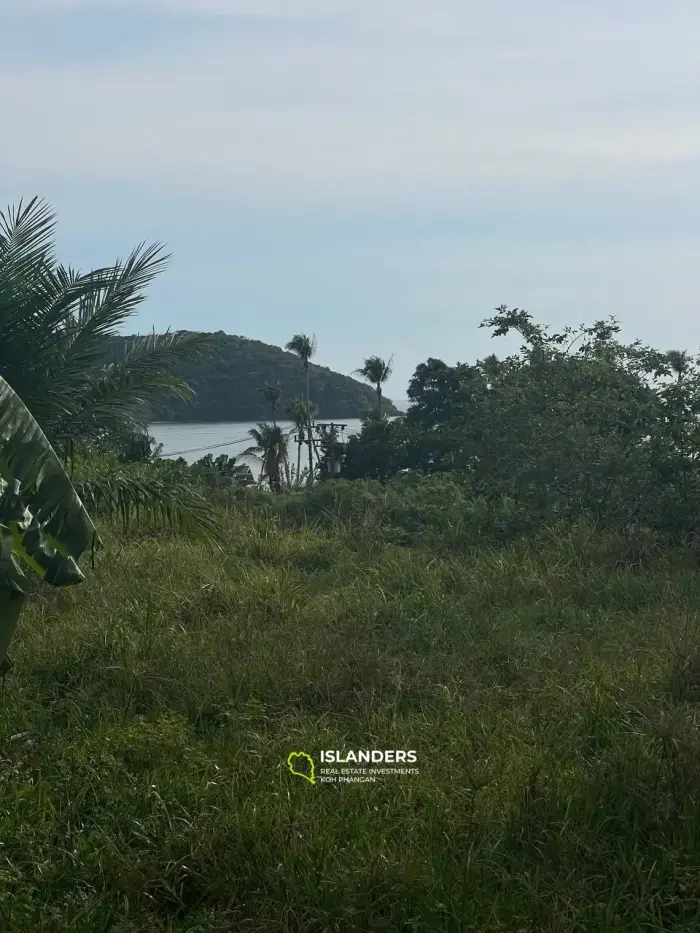 Beautiful Sea-View Plot in Tong Sala Area, Close to Center with Excellent Logistics
