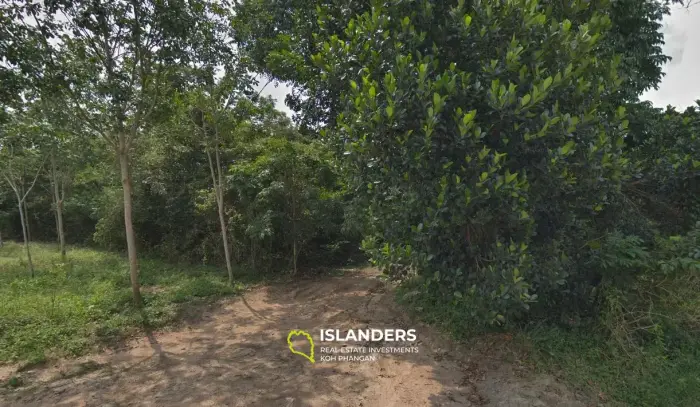 Flat Land at Quiet Area for Sale in Taling Ngam