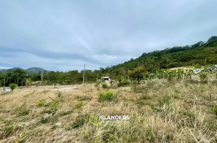 400 SQM. Mountain View Flat Land in Mae Nam for Sale 