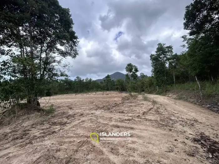 Flat Land with Mountain Views in Chalok Baan Kao
