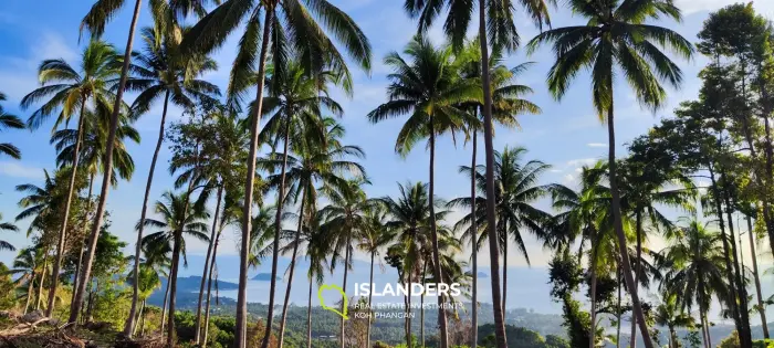 Unique seaview land 360° on Haad Yao size 2342sqm
