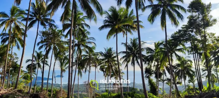 Unique seaview land 360° on Haad Yao size 1616sqm