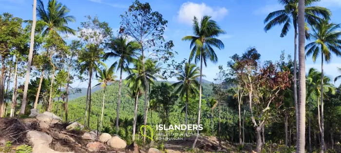 Terrain avec vue imprenable sur la jungle sur Haad Yao taille 1600 m²
