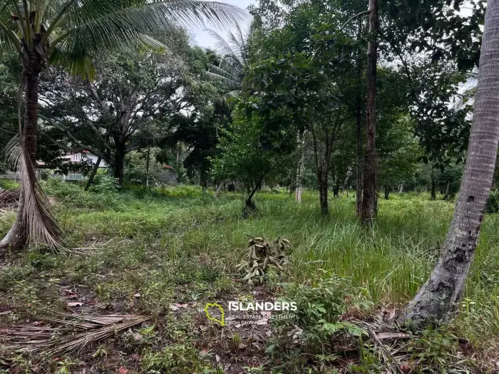 Spacious Land in Ban Nai Suan: Ideal Spot for Your Home