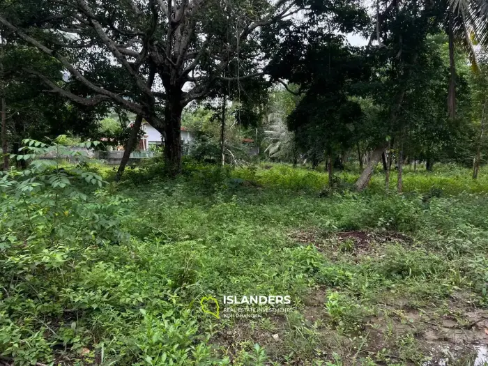 Panoramic Views in Ban Nai Suan: Land for Your Future Home