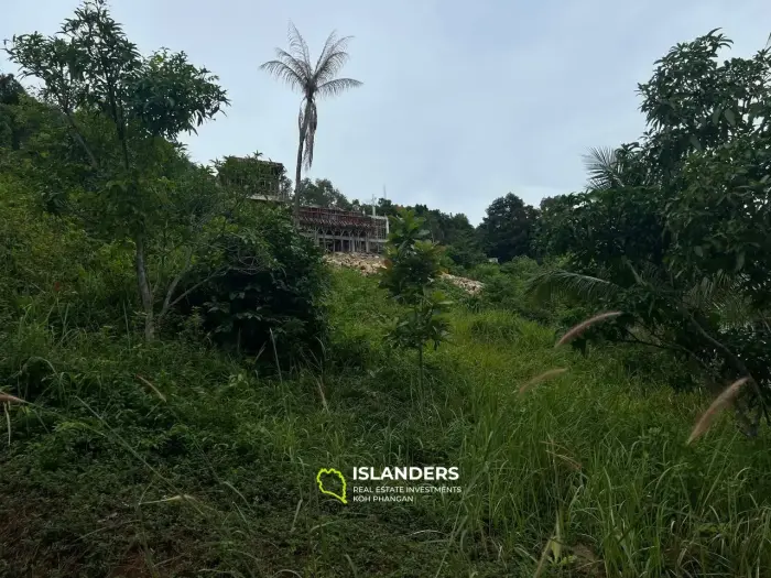 Land on Coconut Lane: Tropical Oasis