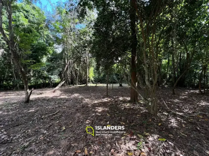 Thai Tranquility: Land Plot in Bantai with Jungle Views