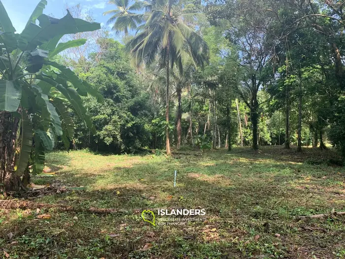 1600 m2, land Lipa Noi in the heart of nature, close to the ferry