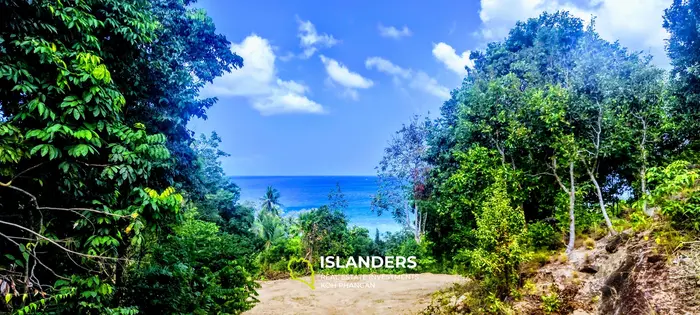Beautiful seaview land on Koh Phangan, Haad Tien for sale, 2856sqm, 1,79Rai, 2 minutes to the beach (№26)