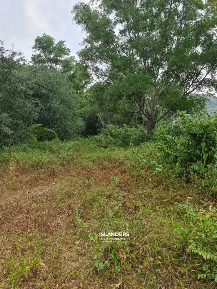 Land with unspoilt nature in the center of the island! (Plot B)