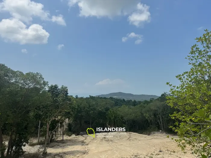 Seaview and jungleview land with good potential in Sritanu (dirty road, no electricity), 1,2275 Rai