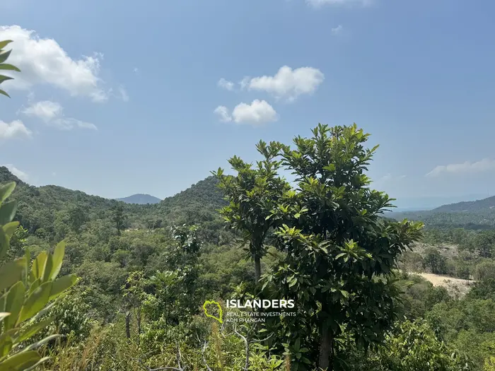 Seaview and jungleview land with good potential in Sritanu (dirty road, no electricity), 0,9525 Rai