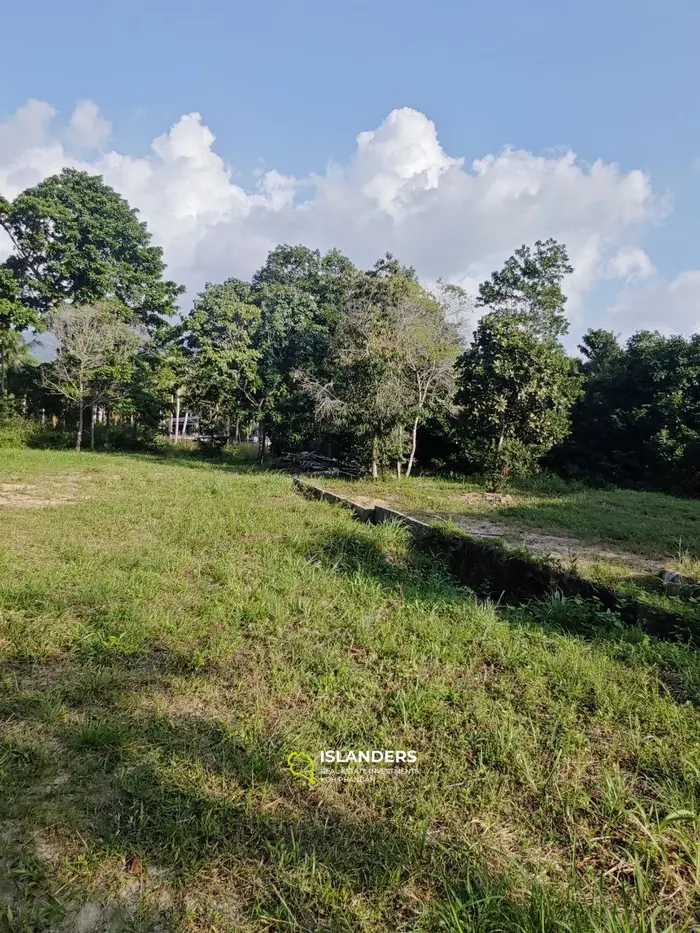 Jungleview land near temple ( 1 Rai )