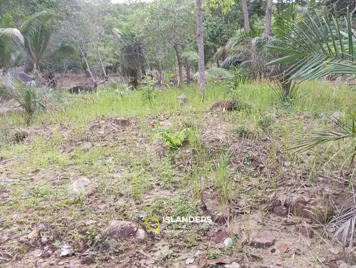 Charmant terrain à proximité des cascades de Phaeng