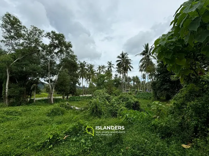 Erstklassiges Land zum Verkauf in Koh Phangan – 5 Rai insgesamt (1 Rai + 4 Rai)